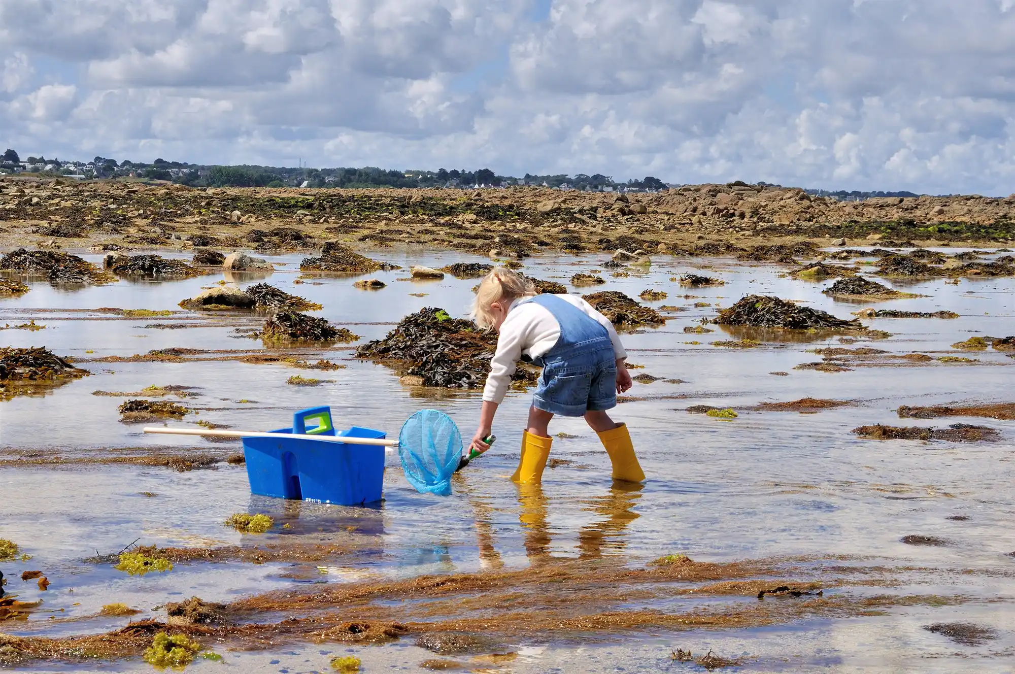 peche a pied morbihan